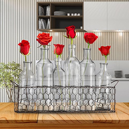 Bud Flower Vases In Chicken Wire Basket for Window-Sill Display, Decorative Storage, Party or Wedding Centerpiece - Clear Glass 6-piece Assorted Home Decor Set