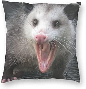 opossum pillow
