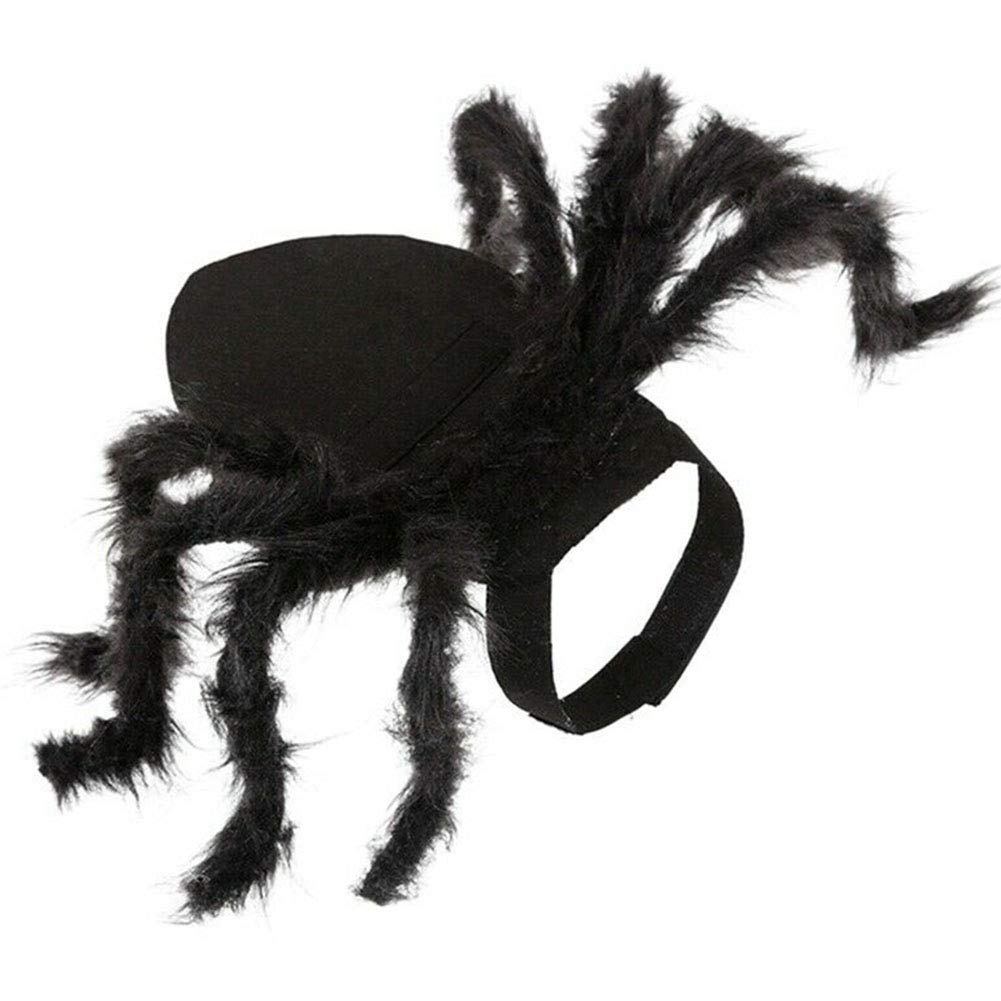 Cani HOWNY Halloween Ragno Animale Domestico Costume Cool Cosplay
