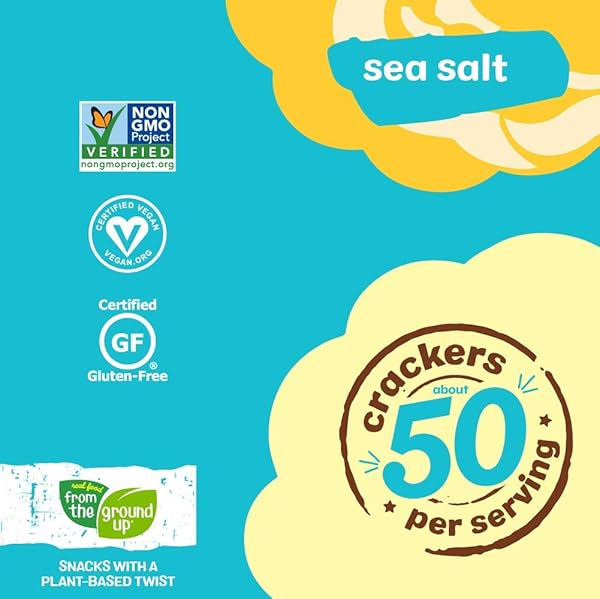 FROM THE GROUND UP, CAULIFLOWER CRACKERS SEA SALT, 4 OUNCE