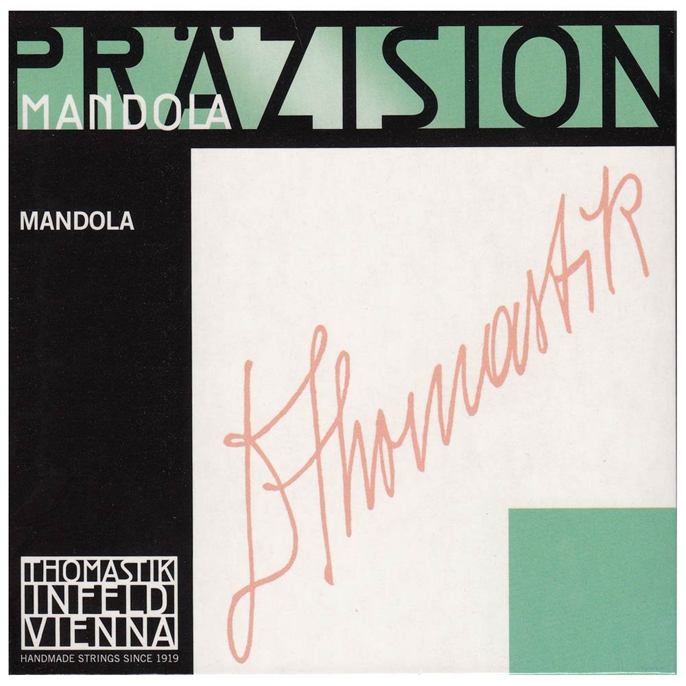 Thomastik single string E 170 medium (1 pair) polished chrome steel band, flatwound for mandola precision set 174 medium