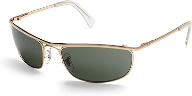 ray ban rb3119