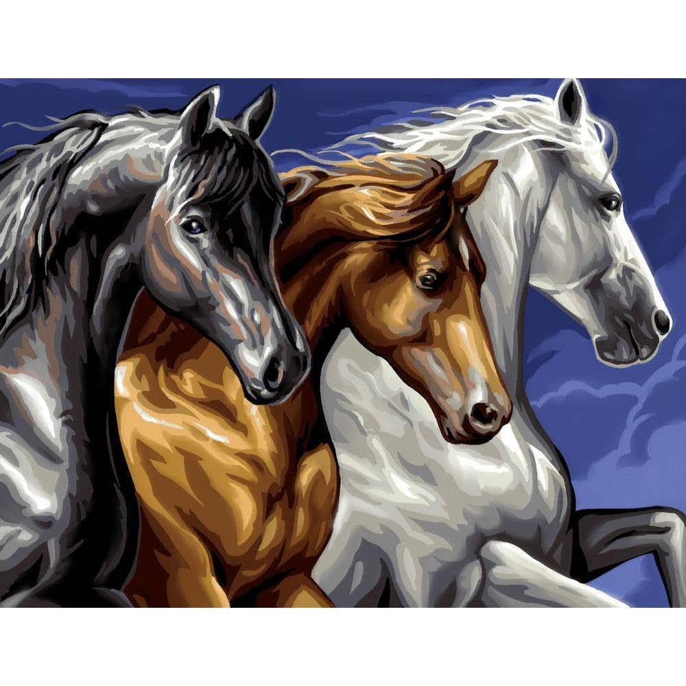 Paint By Numbers Wild Horses