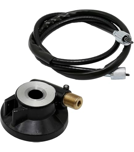 かめ　 image?src=Images/live/2018-02/