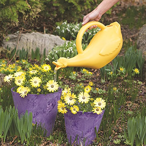 Lucky Duck Watering Can - Image 3