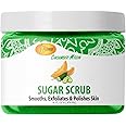 SPA REDI – Sugar Body Scrub, Cucumber Melon, 16 Oz, Exfoliating, Moisturizing, Hydrating and Nourishing, Glow, Polish, Smooth and Fresh Skin - Body Exfoliator