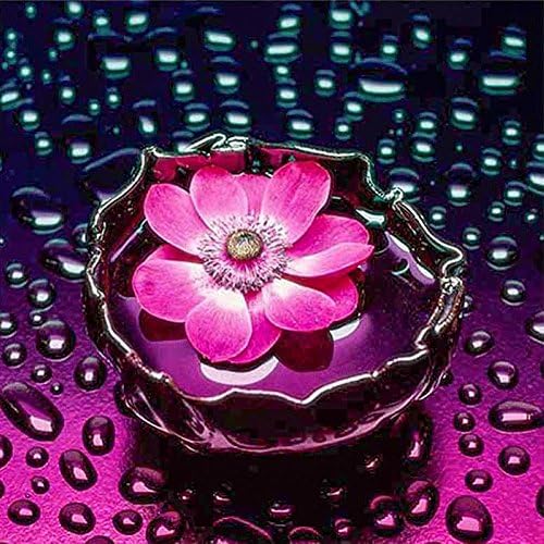 LICSE DIY 5D Diamond Embroidery Painting Lotus Flower Cross Stitch Craft Home Decor 16X16 inches