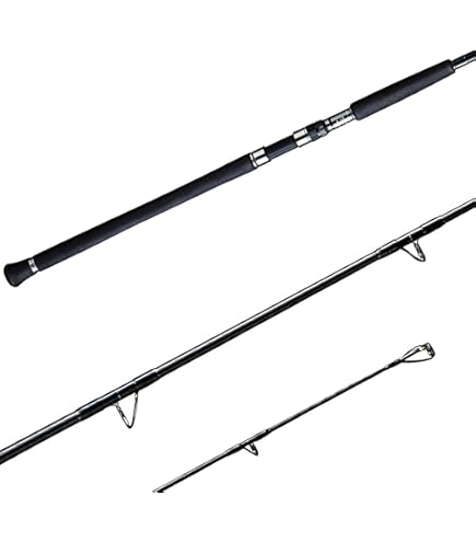 Amazon.com : Shimano OCEA Plugger Full Throttle A, Saltwater