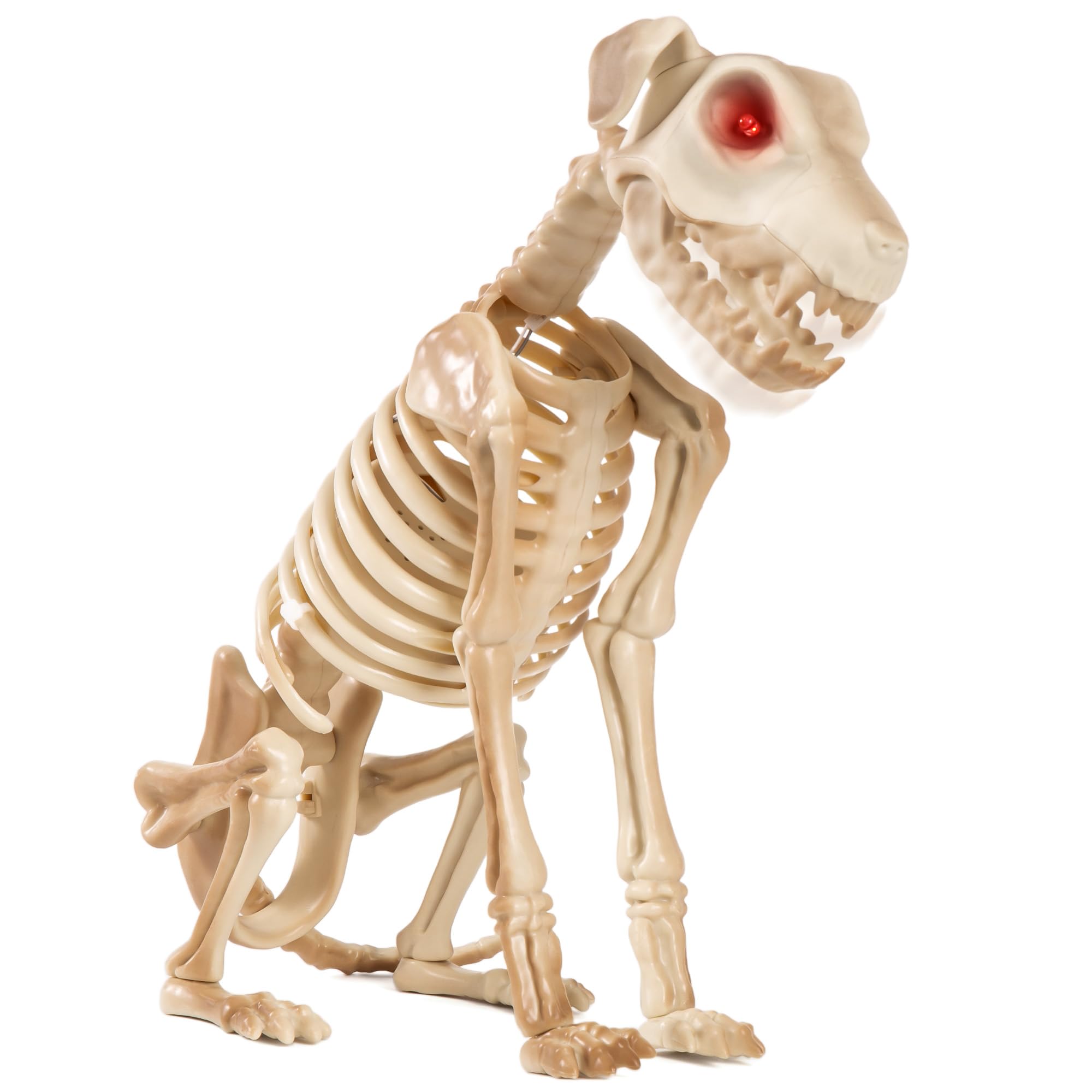 Photo 1 of Halloween Animatronics 15" Skeleton Dog, Realistic Skull Animal Puppy Bones Decor with Sound Activation, Creepy Sound, Move Jaw, Light Up Eyes, Haunted Spooky Horror Prop for Indoor, Outdoor