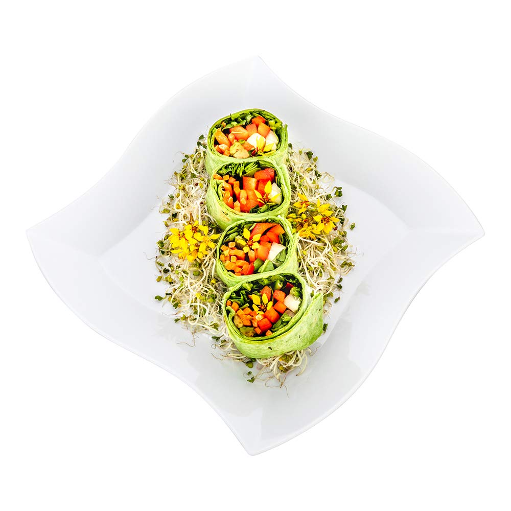 Aqua Plate, White Plastic Wavy Plate - Elegant, Perfect for Cocktail Parties and Catered Events - Pr