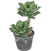 Hollyone Large Artificial Succulent Plants Fake Two-Head Succulent Agave Plant Potted 13" Faux Plant in Vintage Cement Pot Succulent Aloe Plant Indoor for Home Office Living Room Table Shelf Decor