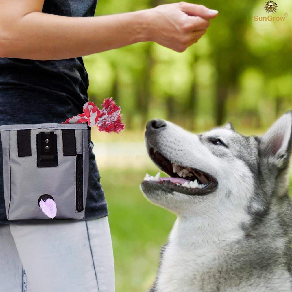Dog Treat Pouch --- Pet Snacks, Toys and Training Tools Carrier - With Built-In Poop Bag Dispenser - Stylish, Multi-wear, Multipurpose - Weather-Resistant Nylon Fabric Material