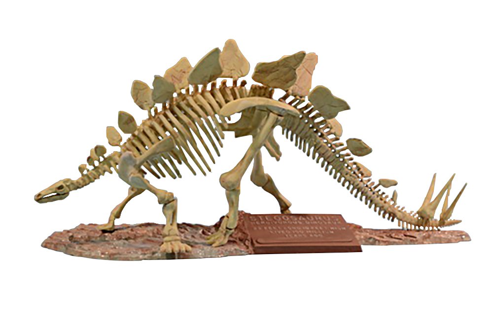 Glencoe Models 1:24 Scale Stegosaurus Skeleton
