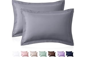 Homiest Gray Pillow Shams Queen Size Set of 2, 2 Inch Wide Decorative Flange Shams Set, Soft & Cozy Microfiber Pillow Cases w