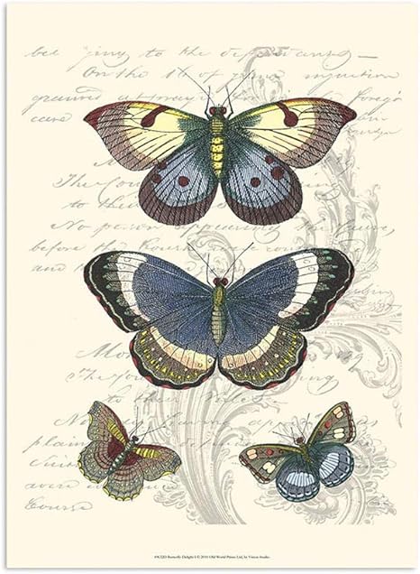Amazon 蝶標本ポスターヴィンテージ昆虫学壁アートパネルヨーロッパスタイルキャンバス絵画インテリアアンティーク昆虫写真科学印刷リビングルーム部屋モダン装飾画 ウォールステッカー オンライン通販