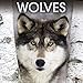 Wolf Calendar - Wolves Calendar - Calendars 2016 - 2017 Wall Calendars - Animal Calendar - Wolves 16 Month Wall Calendar by Avonside