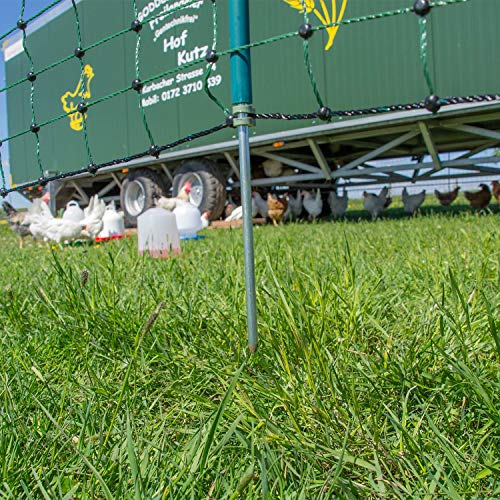 Sicherheitsnetz für Geflügel, 105cm, 25m, 9 Pfähle, grün – Bild 3