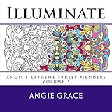 Illuminate (Angie's Extreme Stress Menders Volume 5) by Angie Grace