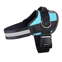 Joyride Basic Essential Dog Harness 1.0