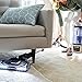Shark Rotator Powered Lift-Away TruePet (NV750) Upright Vacuum, Mini-Motorized Brush, Bordeaux (Renewed)