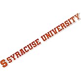 Desert Cactus Syracuse University Sticker Orange Name Logo Vinyl Decal Laptop Water Bottle Car Scrapbook (15 Inch Sticker)
