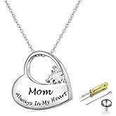 S925 Sterling Silver Urn Necklace for Ashes Cremation Memorial Keepsake Pendant Necklace Jewelry for Women