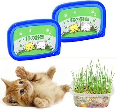 Amazon Gifty 猫の野菜 3回分x2個セット 猫草 栽培 キット 無農薬 毛玉対策 Gifty 毛玉ケア 通販
