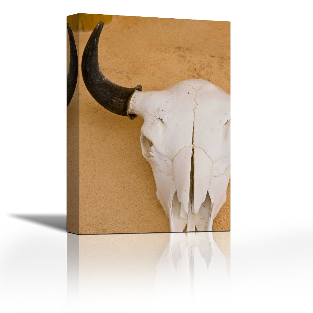 Buy Karmakara Mexico Santa Fe Animal Skull On Wall Fine Art