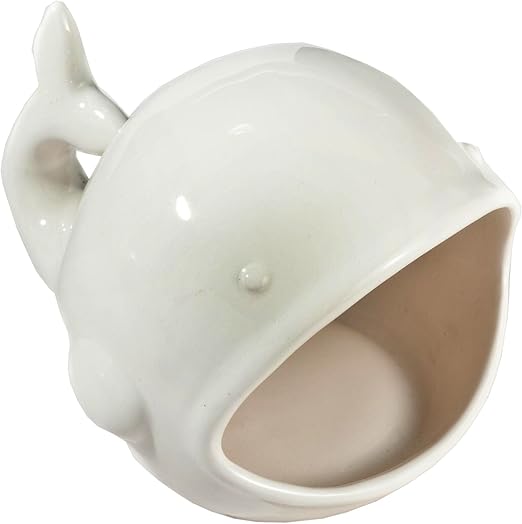 Amazon Com Dolomite Ivory Whale Soap Dish Creative Design Soap