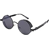 FEISEDY Retro Gothic Steampunk Sunglasses Round Metal Frame Punk Circle Inspired Shade Men B1857