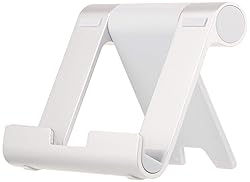 AmazonBasics L6LSH001-CS-R Multi-Angle Portable