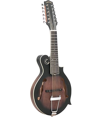 Amazon.com: Gold Tone GM-70 F-Style Mandolin (Two Tone Tobacco