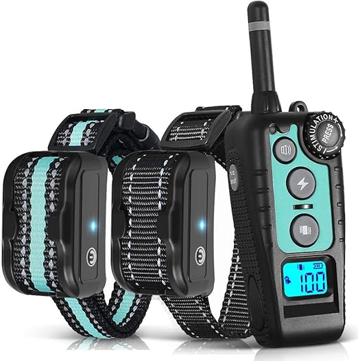 designer dog blankets