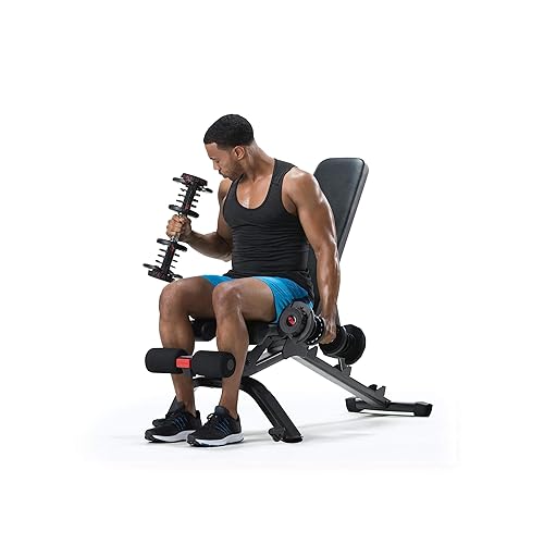 BowFlex Weight Bench Series in Kuwait Whizz Adjustable Benches