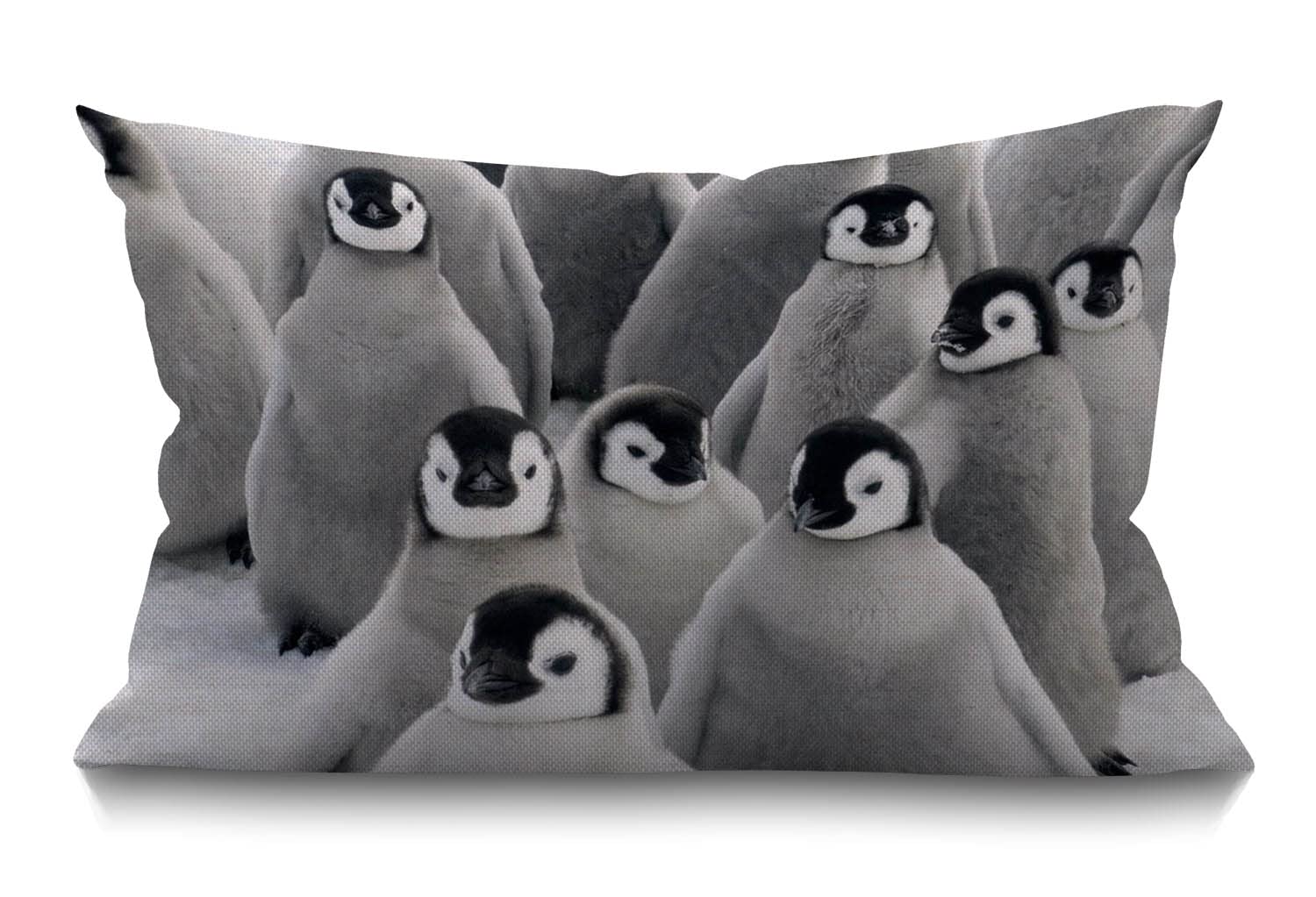BGBDEIA Lovely Funny Penguins South Pole Cushion Cover Lumbar Pillow Covers Home Decorative Cotton Linen Pillow Case for Sofa Couch Housewarming Gifts Family Room Décor 30 x 50 cm 12 x 20 Inch