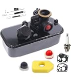 Kit Carburateur Briggs & Stratton 795469 Avec Filtre à Air - Compatible 790206 794147 Et Plus