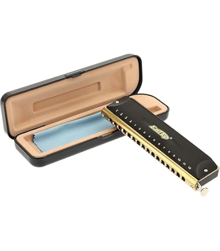 ケースなしHohner Chromonica 64 ハーモニカ本体 ケースなしHohner Chromonica 64 ハーモニカ本体 Vintage Hohner