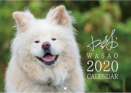 Amazon Co Jp わさお ぶさかわ 人気犬 壁掛け カレンダー 家電 カメラ