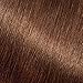 Garnier Nutrisse Ultra Color Nourishing Permanent Hair Color Cream, HL1 Rich Toffee (1 Kit) Brown Hair Dye (Packaging May Vary), 1 Count