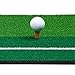Amzdeal Golf Hitting Mat 12