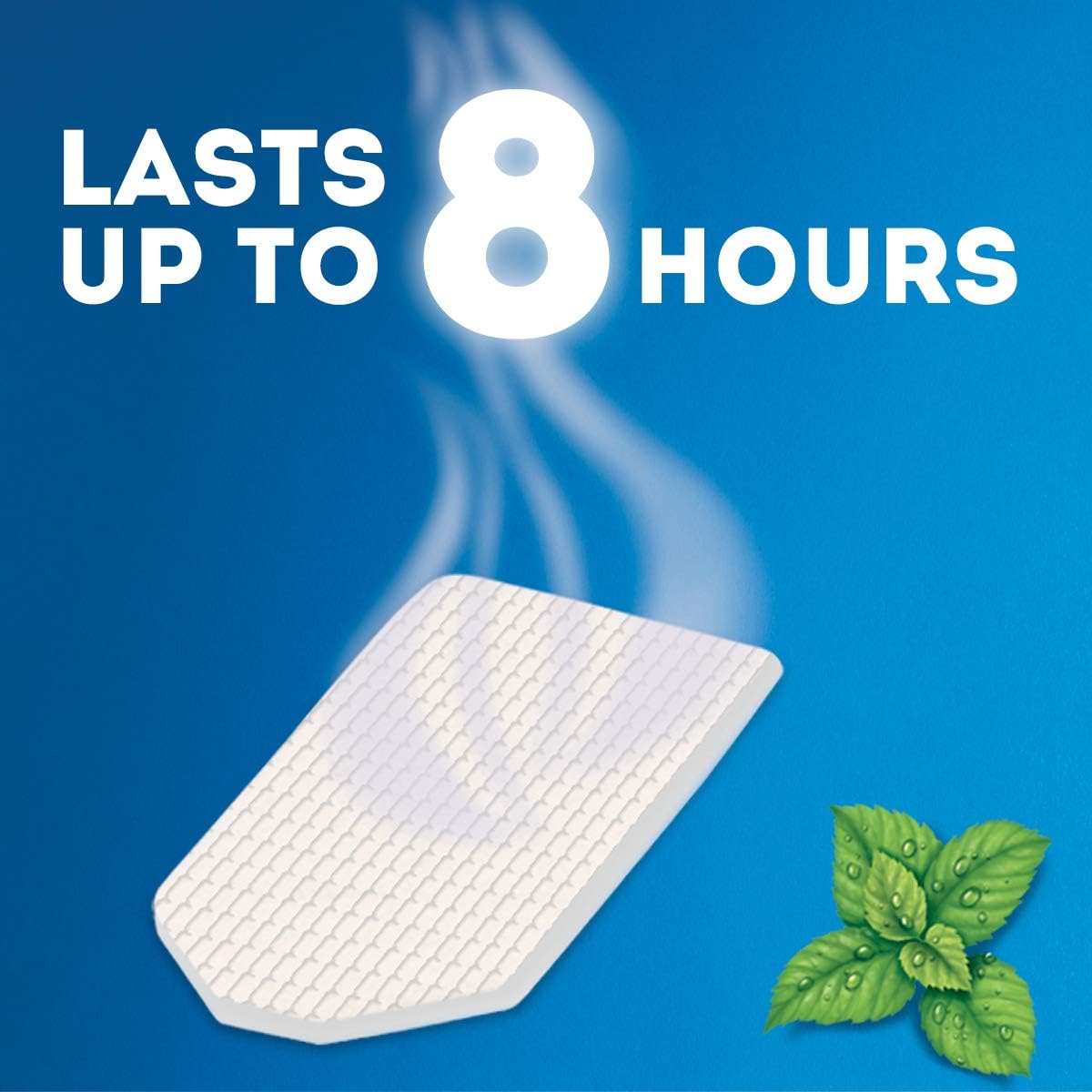 Vicks VapoPads VSP-19 Refill Pads, 6 Count: Health & Personal Care
