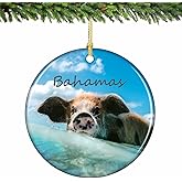 Bahamas Swimming Pig Christmas Ornament Porcelain 2.75 Inches