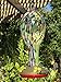 Grateful Gnome - Hummingbird Feeder - Hand Blown Glass - Green with Wildflower Tower - 30 Fluid Ounces Free Bonus Accessories S-Hook, Ant Moat, Brush and Hemp Rope Included