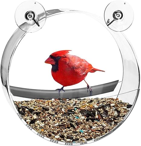Window Bird Feeder Hanging Transparent Round Suction Cup