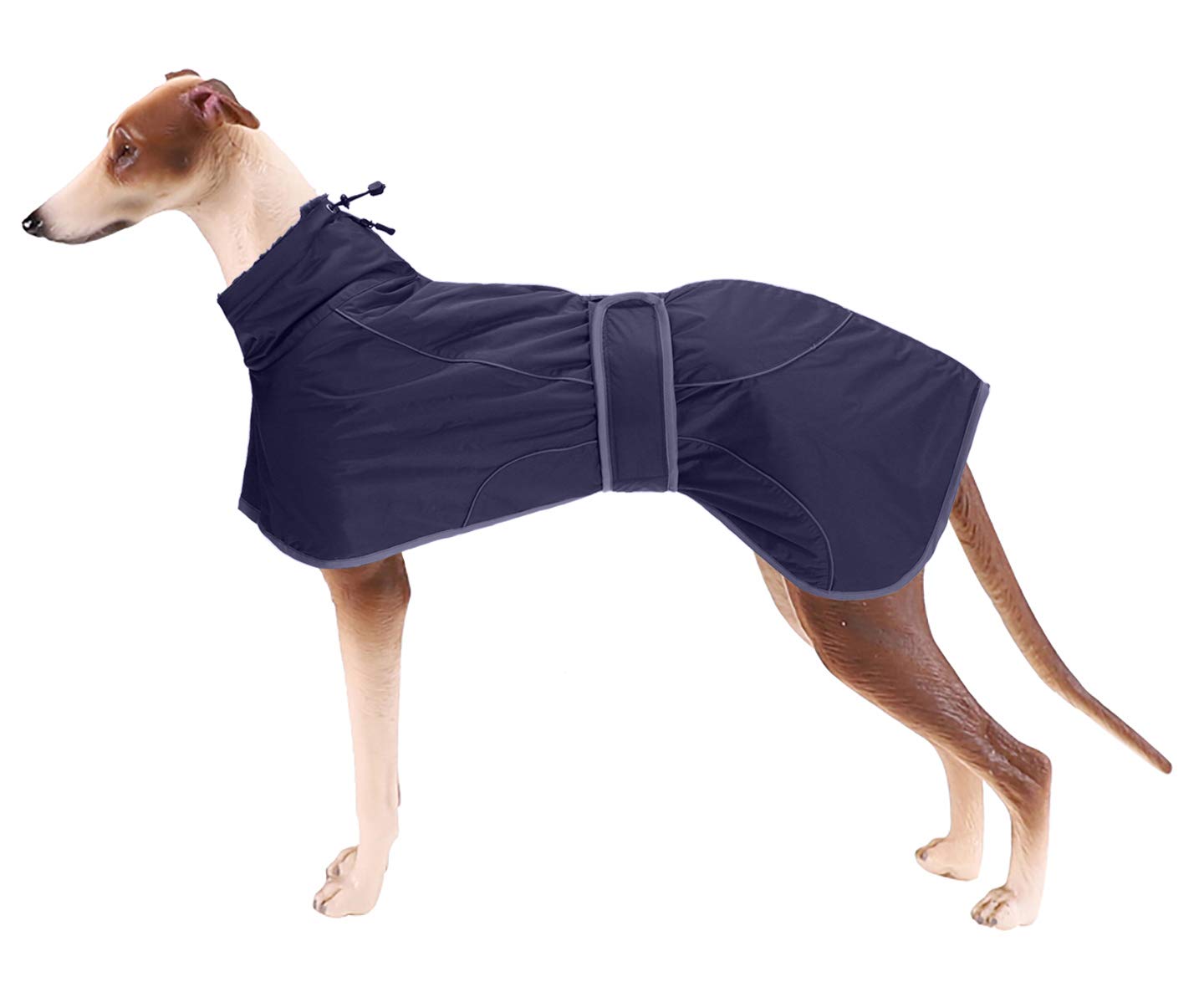 Greyhound Winter Coat, Whippet Coat with Padded Fleece Lining, Water Resistant Dog Jacket with Adjustable Bands and Reflective - Navy - Medium