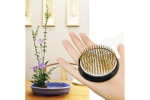 STEELFEVER Flower Frog Round Holder Kenzan Floral Fixed Tool Pin Frog for Flower Arrangements Vase 2.4" (Gold)