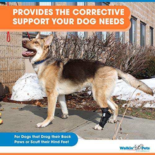 Walkin' Rear NoKnuckling Training Sock Helps Dogs Pick up Their Feet