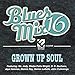 Blues Mix 16 Grown Folks Soul / Various