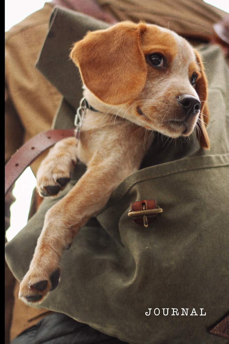 puppy in a backpack