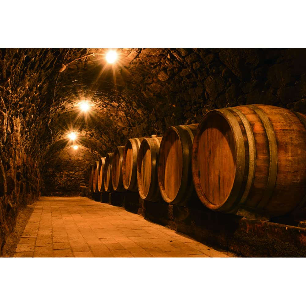 Aoihrraan 3x2m Wine Cellar Backdrop Vintage Gloomy Underground Winery Wood Barrel Lights Oktoberfest Photography Background Beer Festival Carnival Decor Kids Adult Portrait Photo Studio Props